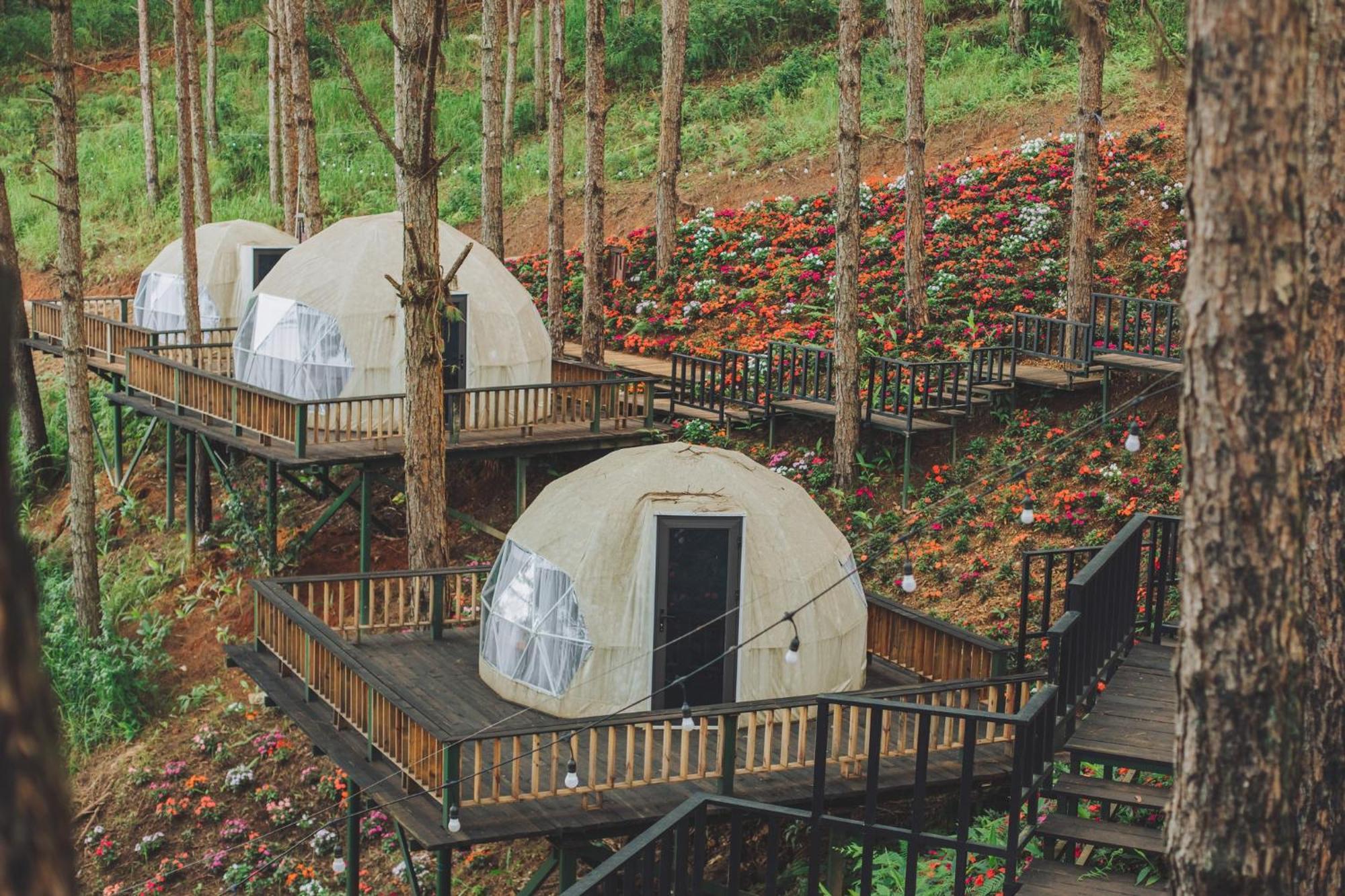 Lavender Dalat Hotel And Resorts Exterior photo