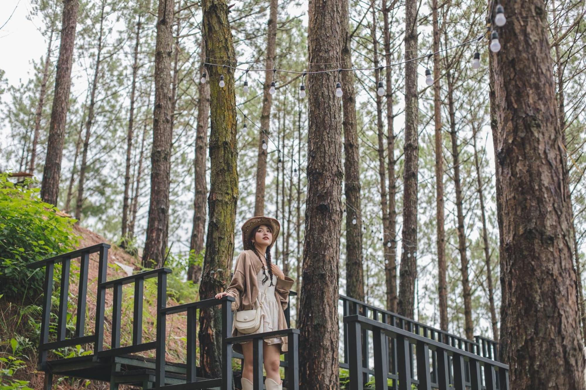 Lavender Dalat Hotel And Resorts Exterior photo