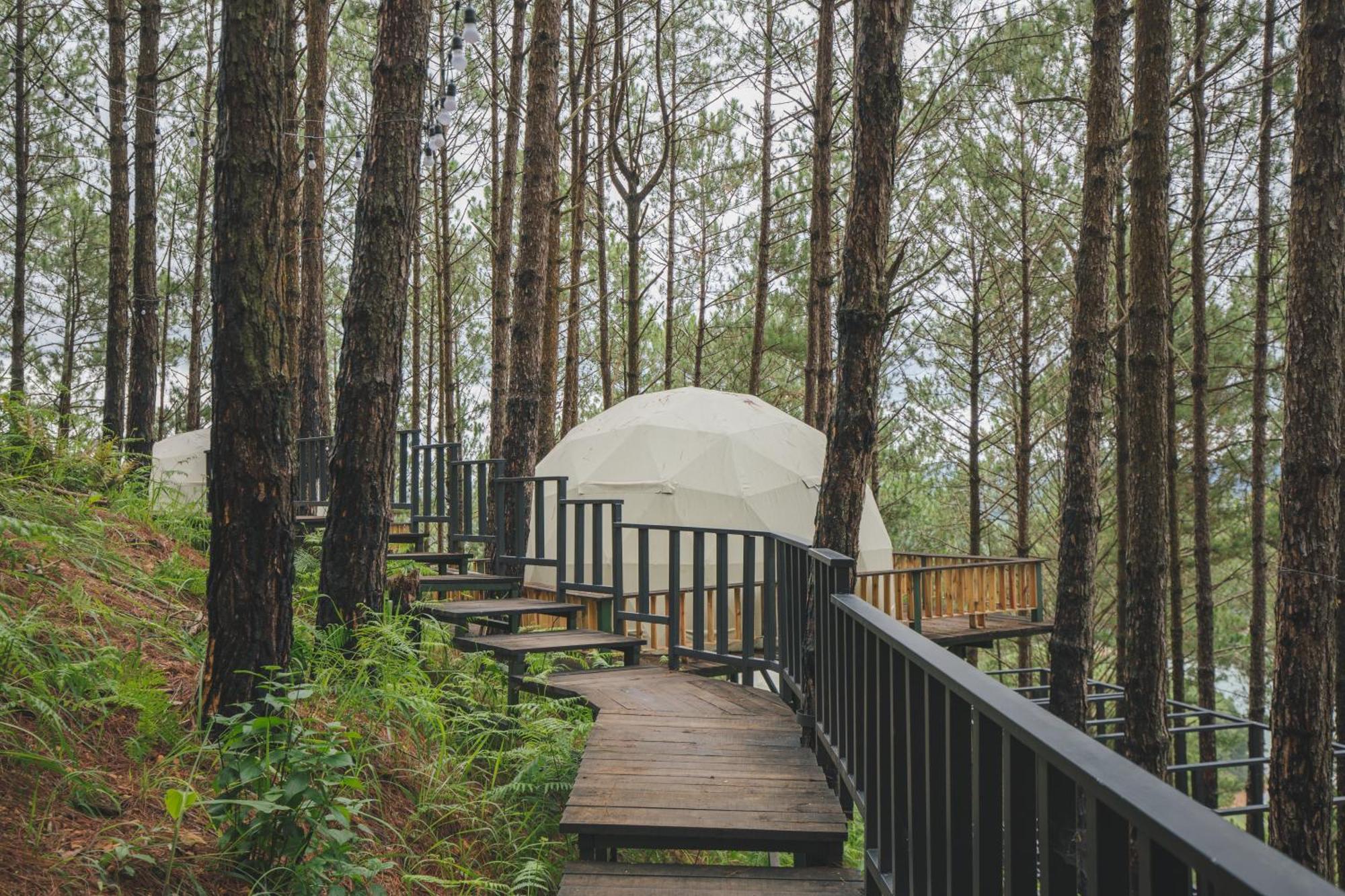 Lavender Dalat Hotel And Resorts Exterior photo